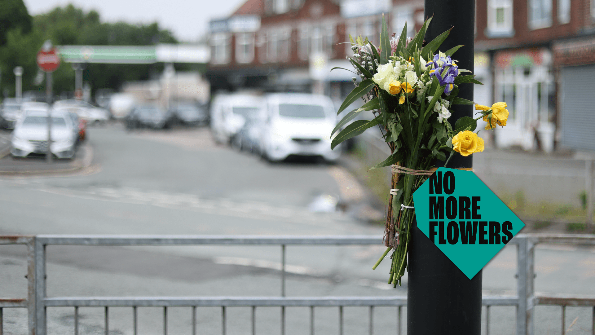 TFGM NMF cover image