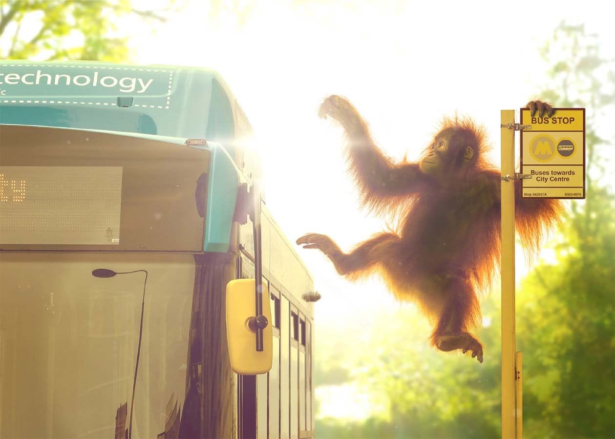 monkey better by bus